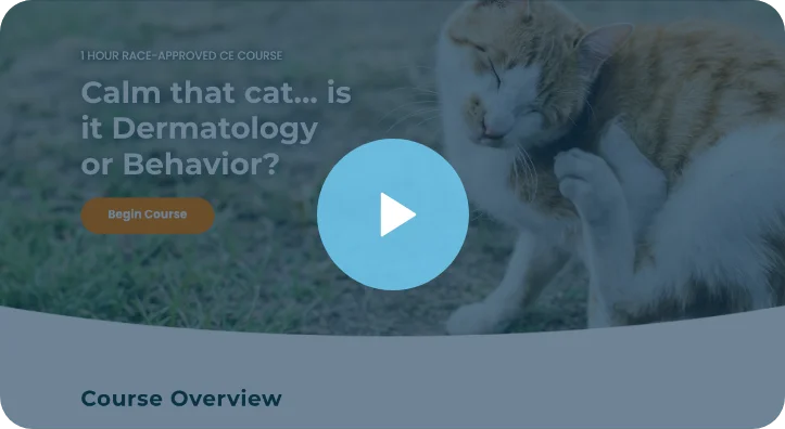 Calm that cat... is it Dermatology or Behavior CE